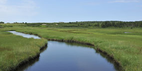 Environment and Parks